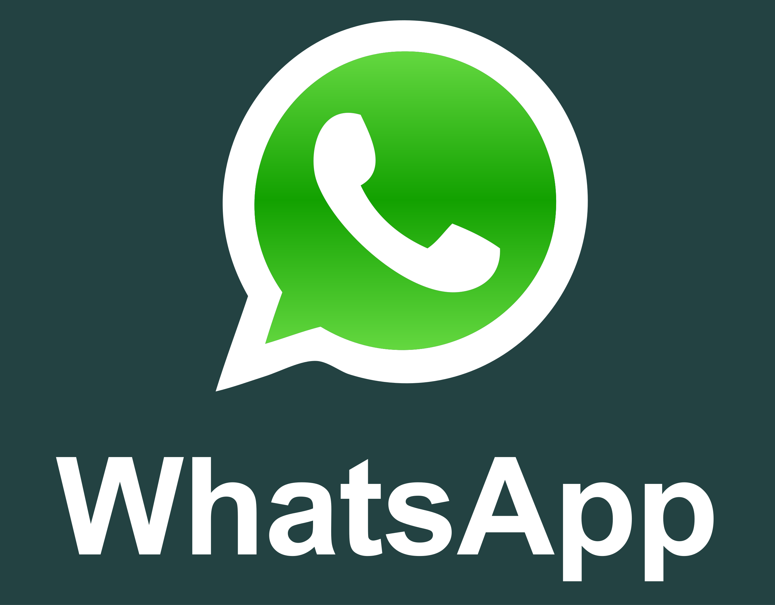 Chat WhatsApp